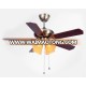 New arrival remote control fancy decorative ceiling fan with light